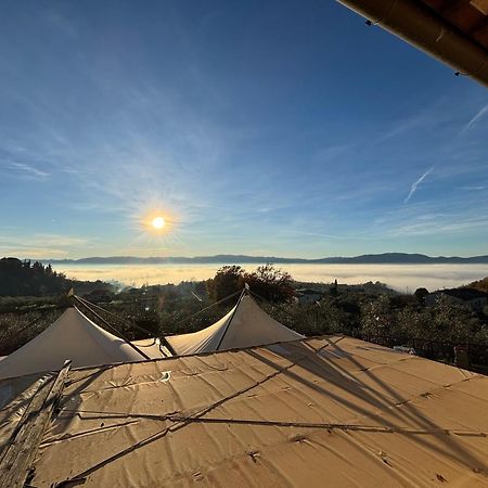 Agriturismo La Casuccia Castelfranco di Sopra エクステリア 写真