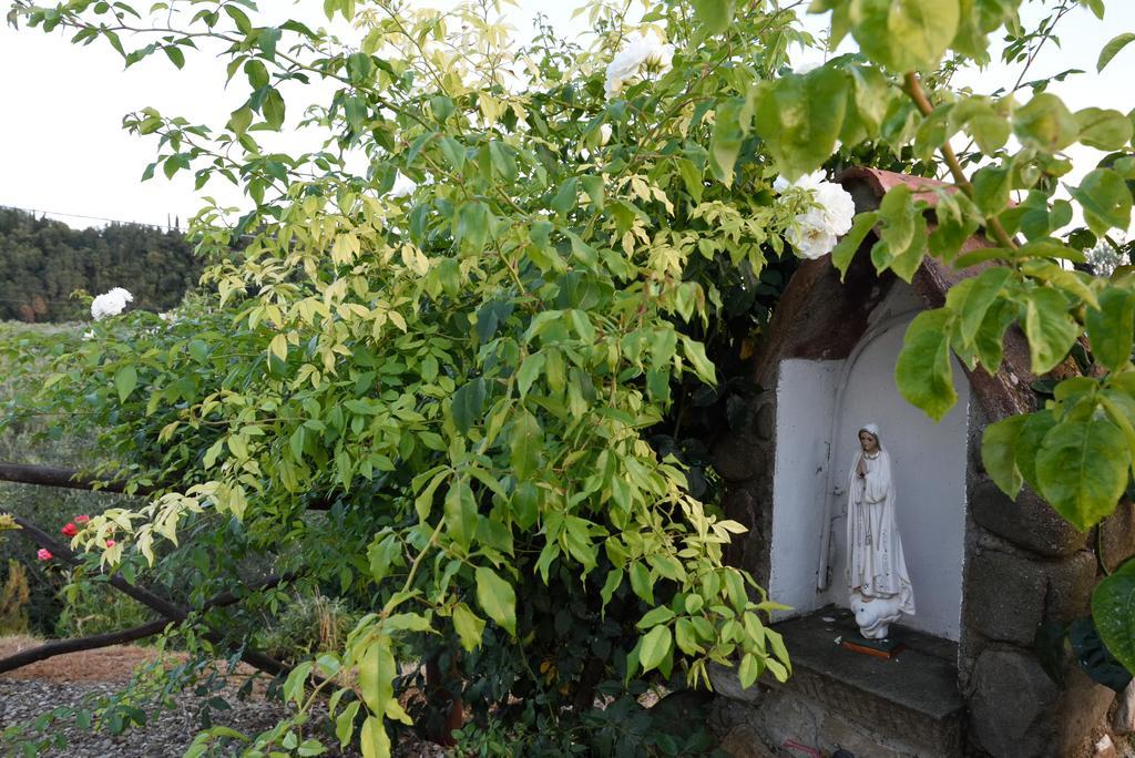Agriturismo La Casuccia Castelfranco di Sopra エクステリア 写真