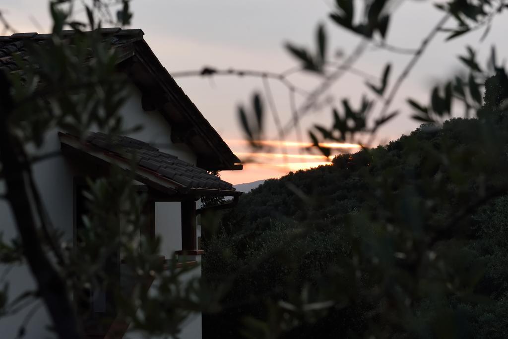 Agriturismo La Casuccia Castelfranco di Sopra エクステリア 写真