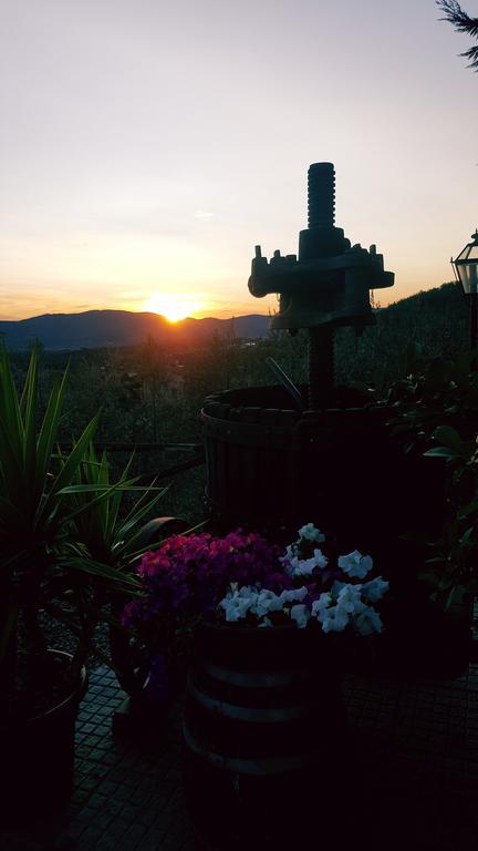 Agriturismo La Casuccia Castelfranco di Sopra エクステリア 写真